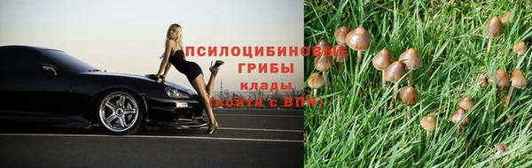 наркотики Абаза